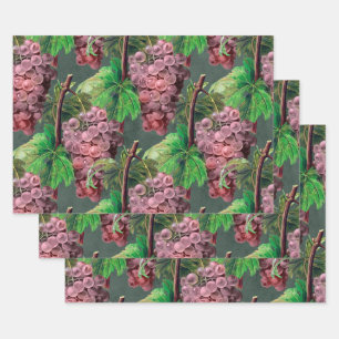  lichte Paarse druiven en wijnstokken op groen Inpakpapier Vel