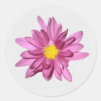 Lichte Paarse Gerbera Stickers