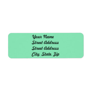 Lichte pasta Mint Green Return Address Sticker