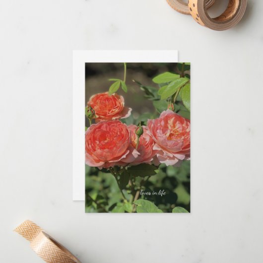 Lichte perzik Rozen Notitiekaartje (Voorkant / Achterkant in situ)