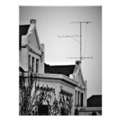 "Lichte rand" Foto Afdruk (Voorkant)