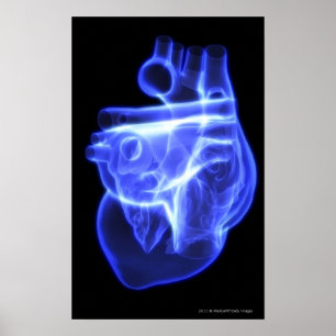 Lichtend uitzicht van het menselijk hart poster