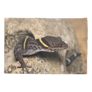 Lichtenfelder's gekko kussensloop