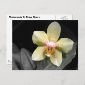 Lichtgele orchidee briefkaart (Voorkant / Achterkant)