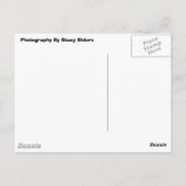 Lichtgele orchidee briefkaart (Achterkant)