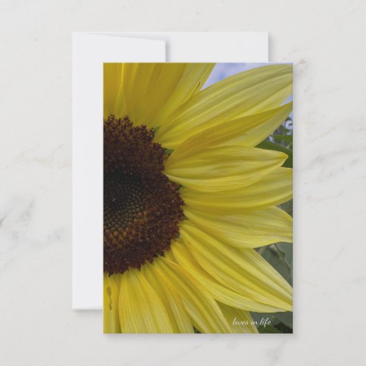 Lichtgele zonnebloem notitiekaartje (Voorkant)