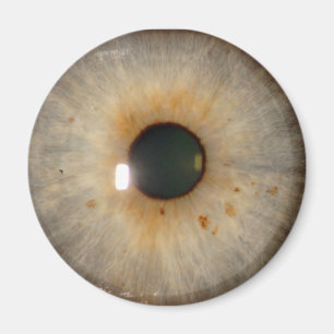 lichtgevaarlijk oog magneet