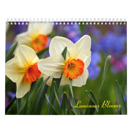 Lichtgevende Bloemen Kalender (Hoes)