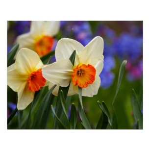 Lichtgevende Bloemen Perfect Poster
