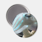 Lichtgevende inktvissen magneet (Voorkant / Achterkant)