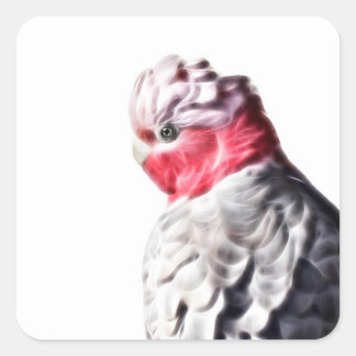 Lichtgevende Parrot Art Roos Breasted Cockato Stic Vierkante Sticker