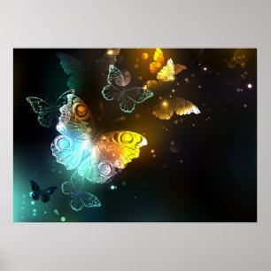 Lichtgevende vlinder en nachtvlinders poster