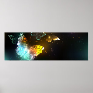Lichtgevende vlinder en nachtvlinders poster