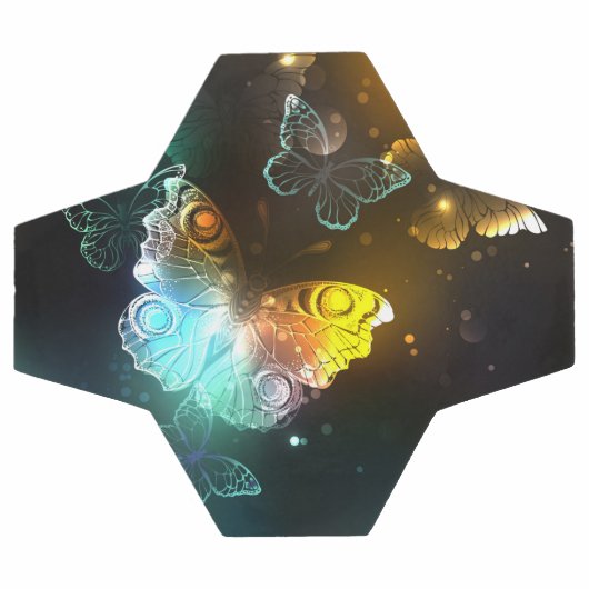 Lichtgevende vlinder en nachtvlinders voetbal (Enkel)