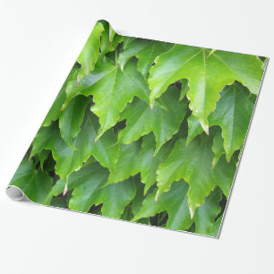 Lichtgroene Ivy Leaves Cadeaupapier