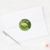 Lichtgroene stinkbug ronde sticker (Envelop)
