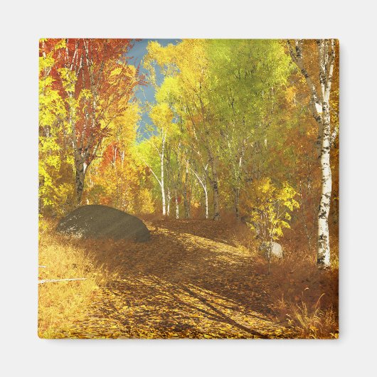 Lichtmagneten Magneet (Voorkant)