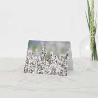 Lichtpaarse Lavendel Bedankkaart