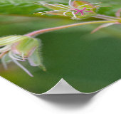 Lichtpaarse Ooievaarsbek Wilde Bloem Botanische Fo Poster (Hoek)