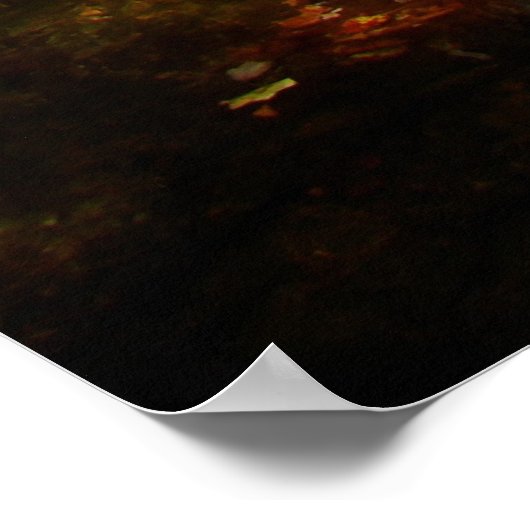 Lichtrivier Poster (Hoek)