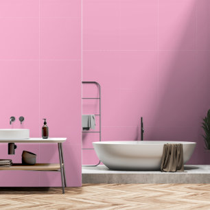 Lichtroze Aangepaste Kleur Achtergrond Meisje Kame Behang