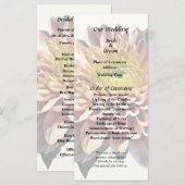 Lichtroze chrysanten programma (Voorkant / Achterkant)