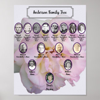 Lichtroze Roos Foto met Ovale Voorouderfoto's Poster