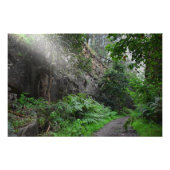 Lichtstraal Foto Afdruk (Voorkant)