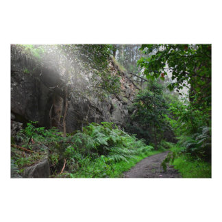 Lichtstraal Foto Afdruk