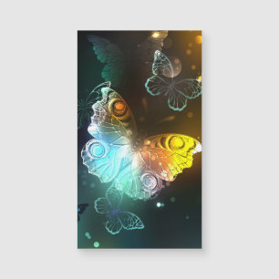 Lichtvlinder en nachtvlinder