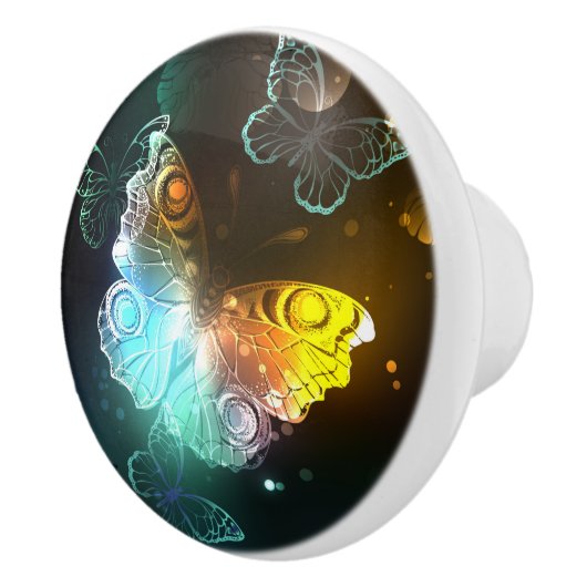 Lichtvlinder en nachtvlinder keramische knop (Rechts)