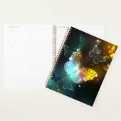 Lichtvlinder en nachtvlinder planner (Display)