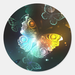 Lichtvlinder en nachtvlinder ronde sticker