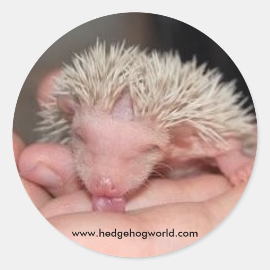 Licking bébé autocollant (Devant)