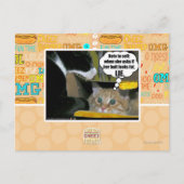 LIE BRIEFKAART (Voorkant)