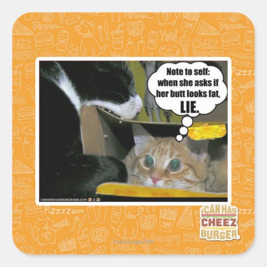 LIE VIERKANTE STICKER (Voorkant)