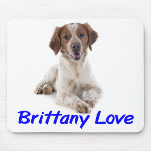 Lief Brittany Spaniel Puppy Hond Muismatje Muismat