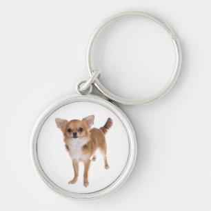 Lief Chihuahua Puppieshond Sleutelhanger