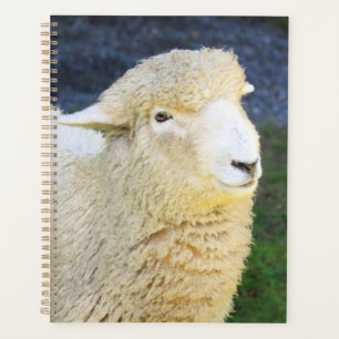 Lief en vriendelijk schaap planner
