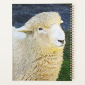 Lief en vriendelijk schaap planner (Achterkant)