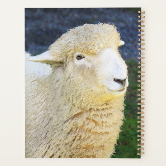 Lief en vriendelijk schaap planner (Achterkant)