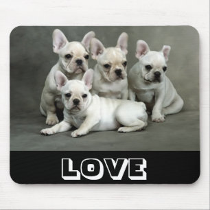 Lief Franse Bulldog Puppy Hond Muismat