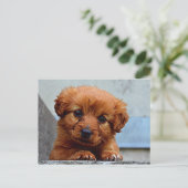 Lief jong briefkaart (Staand voorkant)