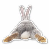 Lief Konijn Haas Staart Sticker (Voorkant)