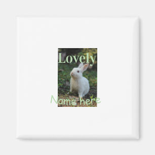 Lief konijn huisdier foto naam groene pastel magneet