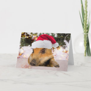 Lief varken in kerstmuts kerstboom feestdagen kaart
