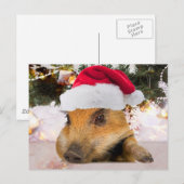 Lief varken in kerstmuts kerstboom feestdagenkaart (Voorkant / Achterkant)
