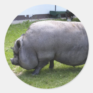 lief varkentje | Dierlijk Boerderij Ronde Sticker