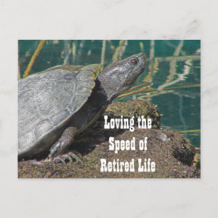 Liefdadig leven - Humoureuze schildpad foto grappi Briefkaart