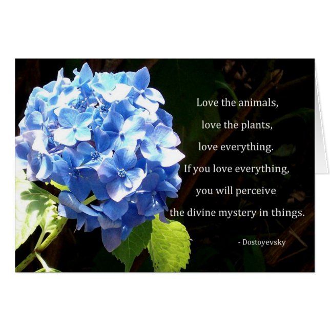 Liefde alles (Voorkant Horizontaal)